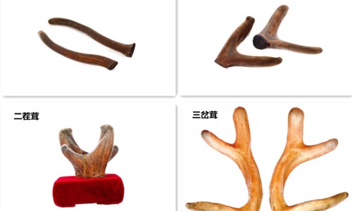 阴囊潮湿出汗-阴囊潮湿脚心出汗是什么原因专区_阴囊潮湿出汗专区_阴囊潮湿出汗如何用西药治疗网
