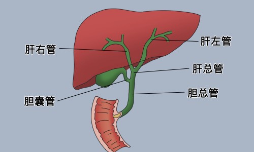阴囊潮湿脚心出汗是什么原因专区_阴囊潮湿出汗专区_阴囊潮湿出汗如何用西药治疗网